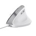 Мышка Trust Bayo II Ergonomic USB White (25397)