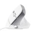 Мышка Trust Bayo II Ergonomic USB White (25397)