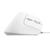 Мышка Trust Bayo II Ergonomic USB White (25397)