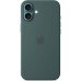 Чехол для мобильного телефона Apple iPhone 16 Plus Silicone Case with MagSafe - Lake Green (MYYH3ZM/A)