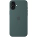 Чехол для мобильного телефона Apple iPhone 16 Plus Silicone Case with MagSafe - Lake Green (MYYH3ZM/A)