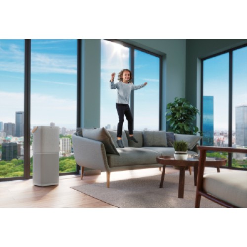 Воздухоочиститель Electrolux PA91-404GY