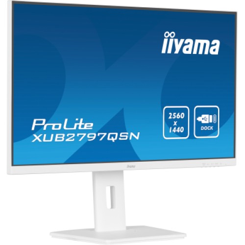Монитор iiyama XUB2797QSN-W1