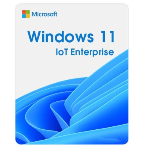 Операционная система Microsoft Windows 11 IoT Enterprise LTSC 2024 Perpetual, Commercial, OneTime (DG7GMGF0PP49_0001)