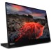 Монитор Lenovo M14t Gen2 (63FDUAT6WL)