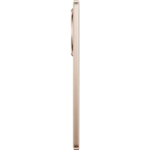 Мобильный телефон realme 13 Plus 5G 8/256GB Victory Gold