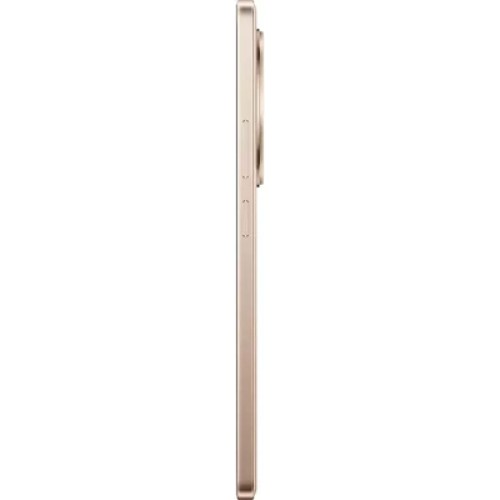 Мобильный телефон realme 13 Plus 5G 8/256GB Victory Gold