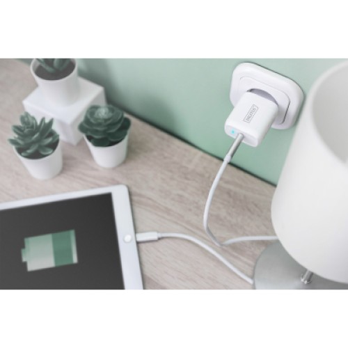Зарядное устройство Digitus Universal USB-C (DA-10196)