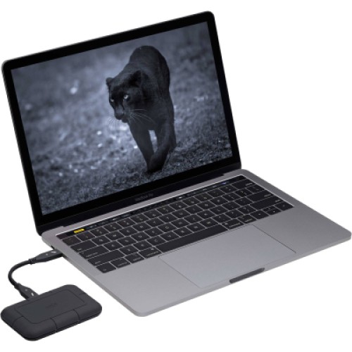 Накопитель SSD USB Type-C 4TB Rugged Pro LaCie (STHZ4000800)