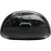 Наушники JBL Tune Flex 2 Ghost Black (JBLTFLEX2GBLK)