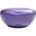 Наушники JBL Tune Flex 2 Ghost Purple (JBLTFLEX2GMAE)