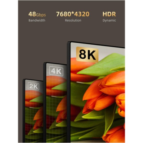 Кабель мультимедийный HDMI to HDMI 100.0m v2.1 AOC Cabletime (CA914555)