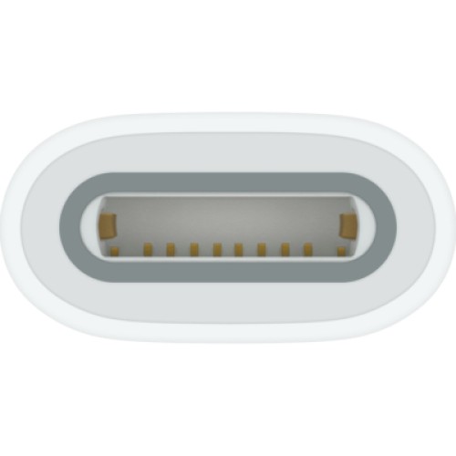 Адаптер Apple USB-C to Apple Pencil Adapter (MWML3ZM/A)