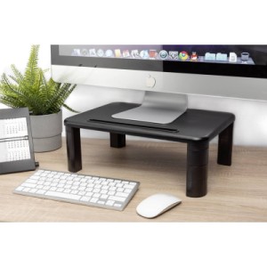 Подставка для монитора Digitus Ergonomic Monitor Riser, black (DA-90458)