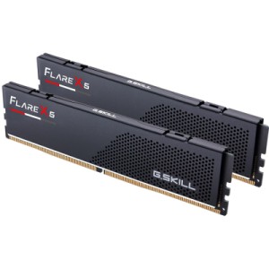 Модуль памяти для компьютера DDR5 48GB (2x24GB) 5200 MHz Flare X5 G.Skill (F5-5200J4040A24GX2-FX5)