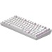 Клавиатура Dark Project ALU81 Terra Nostra PBT RGB Mech G3MS Moonstone White (DPKB_NOSTRA_81_ANSI_WHITE_UA)