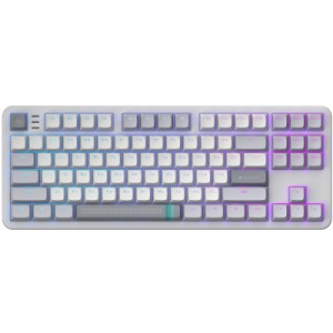 Клавиатура Dark Project ALU87 Daylight ABS RGB Mech G3MS Zircon White/Grey (DPKB_DAYLIGHT_87_ANSI_UA)