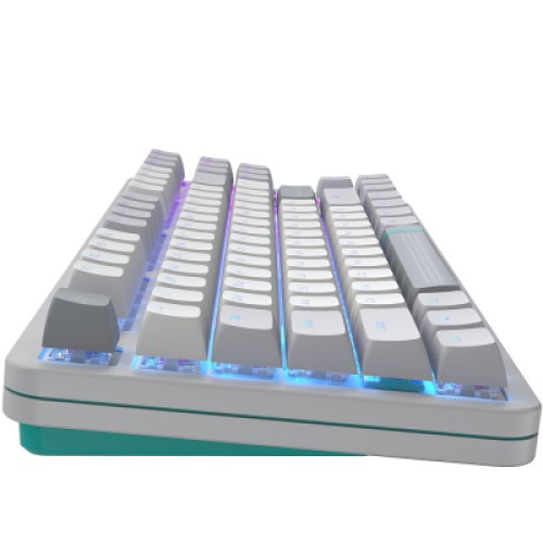 Клавиатура Dark Project ALU87 Daylight ABS RGB Mech G3MS Zircon White/Grey (DPKB_DAYLIGHT_87_ANSI_UA)