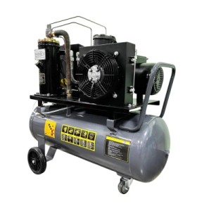 Компрессор GTM 100л, 350л/хв, 3кВт, 8бар, 220V (DLG3V 230)