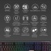 Клавиатура Ducky One 3 Cherry MX Blue RGB UA USB Black (DKON2108ST-CUAPXCLAWSC1)