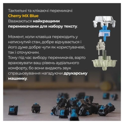 Клавиатура Ducky One 3 Cherry MX Blue RGB UA USB White (DKON2108ST-CUAPXPWWWSC1)