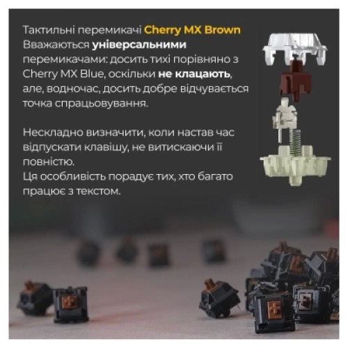 Клавиатура Ducky One 3 TKL Cherry MX Brown RGB UA USB Black (DKON2187ST-BUAPXCLAWSC1)