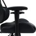 Кресло игровое Canyon Morphos ABCH01 Black (CNS-ABCH01BW)