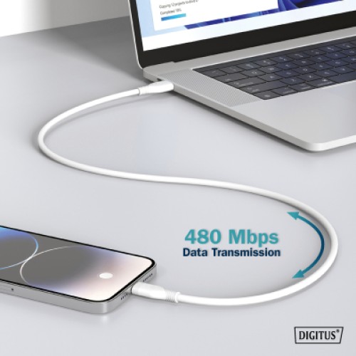 Дата кабель USB 2.0 AM to Type-C 2.0m 60W white Digitus (AK-300340-020-W)