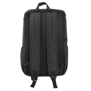 Рюкзак для ноутбука Esperanza 15.6" TRAPANI, black (ET199)