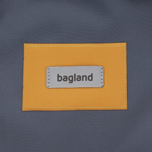 Рюкзак для ноутбука Bagland 17" Stylish XL 35L+print, gray 1434/55869 (1120320806)