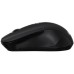 Мышка Acer OMR010 Wireless Black (ZL.MCEEE.028.)