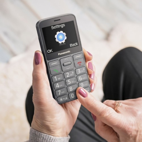 Мобильный телефон Panasonic KX-TU160 Grey (KX-TU160EXG)