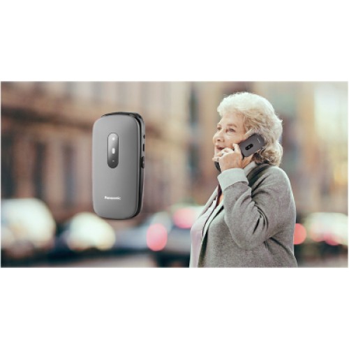 Мобильный телефон Panasonic KX-TU446 Grey (KX-TU446EXG)