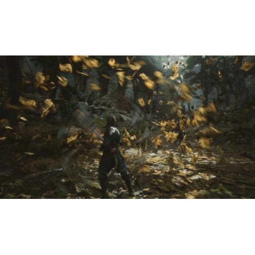 Игра Sony Black Myth: Wukong, BD диск (5056635611864)