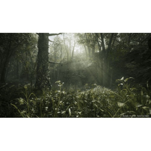 Игра Sony Metal Gear Solid Delta: Snake Eater Day 1 Edition, BD диск (4012927150856)