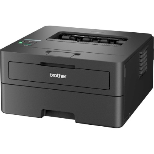 Лазерный принтер Brother HLL2460DNYJ1