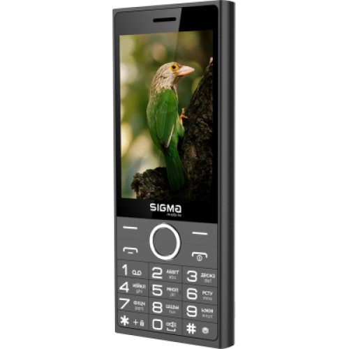 Мобильный телефон Sigma X-style 353 TREND Black (4827798626214)