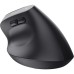 Мышка Trust Bayo+ Ergonomic Wireless/Bluetooth Black (25146)