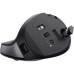 Мышка Trust Bayo+ Ergonomic Wireless/Bluetooth Black (25146)