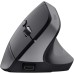Мышка Trust Bayo+ Ergonomic Wireless/Bluetooth Black (25146)