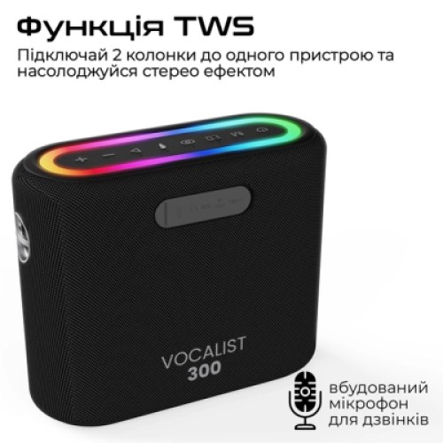 Акустическая система HiFuture Vocalist 300 Black (vocalist300.black)