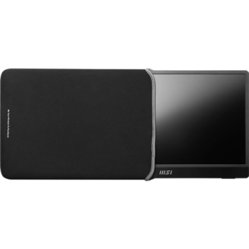Монитор MSI PRO MP161 E2