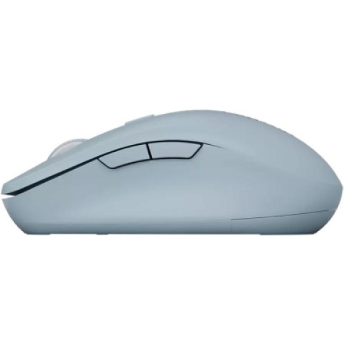 Мышка Canyon MW-12 Wireless/Bluetooth Blue (CNS-CMSW12BL)