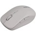 Мышка Canyon MW-12 Wireless/Bluetooth Grey (CNS-CMSW12DG)