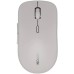 Мышка Canyon MW-12 Wireless/Bluetooth Grey (CNS-CMSW12DG)