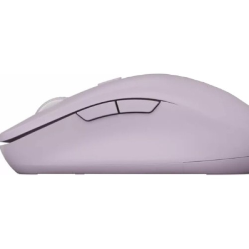 Мышка Canyon MW-12 Wireless/Bluetooth Pink (CNS-CMSW12P)