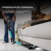 Пылесос Cecotec Conga Rockstar 2500 Thunder Flex Animal (CCTC-08427)