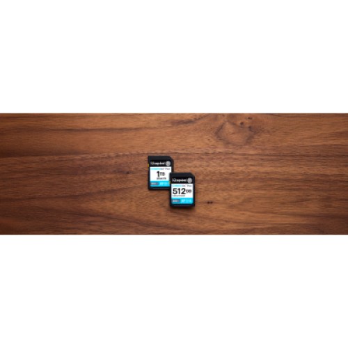 Карта памяти Kingston 256GB SDXC сlass 10 UHS-I U3 V30 Canvas Go Plus G4 (SDG4/256GB)