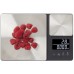 Весы кухонные KitchenAid Measuring KQ909G, з подвійною платформою