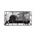 Электроскутер Atlas Spider Box 1500W Grey (4002)